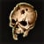 ancient human skull