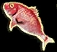 red_snapper