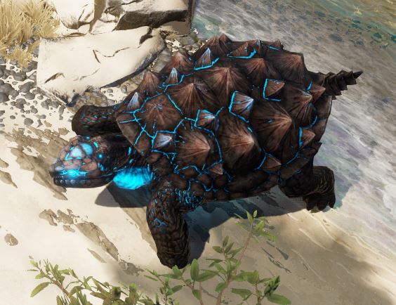 ancient tainted turtle